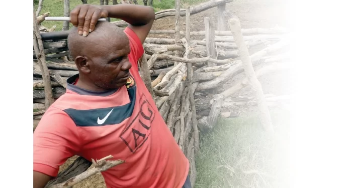 Inside the Fort Rixon cattle carnage: Ward records 262 deaths in single month