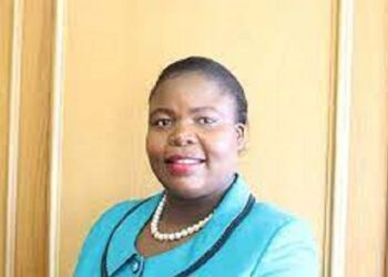 NRZ pursues recapitalisation talks with Indian suitor