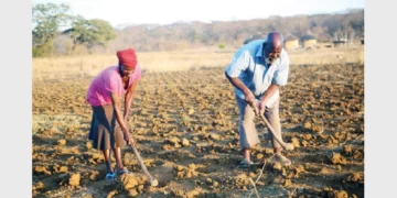 Government applauds farmers on Pfumvudza/Intwasa