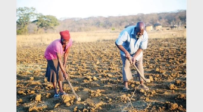 Government applauds farmers on Pfumvudza/Intwasa