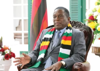 Pensioners hail President over US$ bonuses