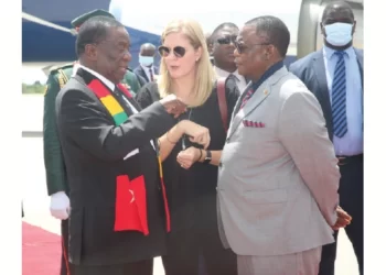 African states keen to tap into Zim agric model