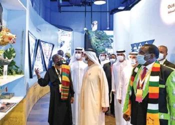 Zim, Dubai move to boost trade volumes