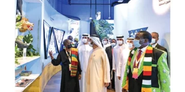 Zim, Dubai move to boost trade volumes