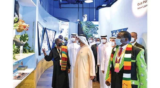 Zim, Dubai move to boost trade volumes