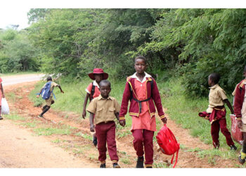 Beitbridge villagers mobilise to build secondary school