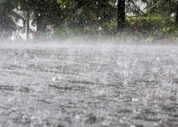 Low rainfall, dry spell forecast in southern parts