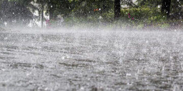 Low rainfall, dry spell forecast in southern parts