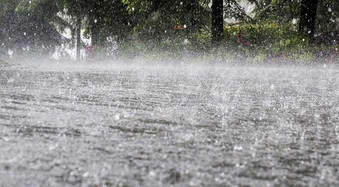 Low rainfall, dry spell forecast in southern parts