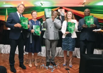 VP launches health strategies