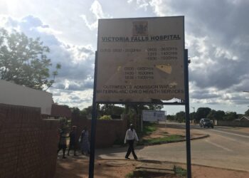 Medical staffers bask in glory after treating lion attack victims