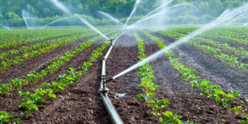 Irrigation to cover 420 000ha by next year