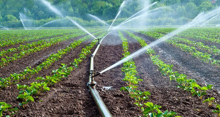 Irrigation to cover 420 000ha by next year