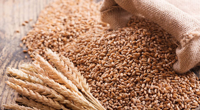 Wheat imports chew US$113 million, as volumes drop 11pc