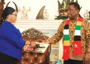 ZEC pledges to address delimitation concerns