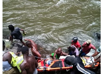 Victoria Falls man falls 15 metres down the gorges on the Zambezi River