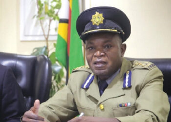 Murehwa violence: CCC throws investigations into disarray