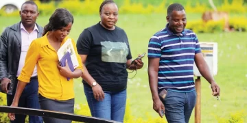 Zimdef loses $120m as fraudsters hack bank accounts