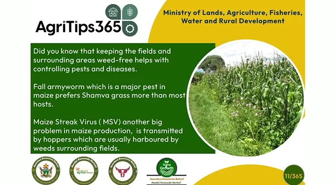 ‘Criminal to trade in livestock products without being registered’