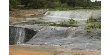 Spilling dam reignites hope for good harvest