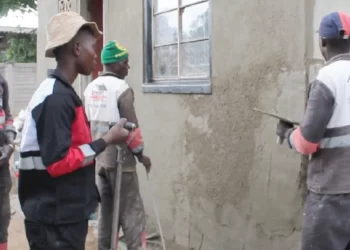 Bulawayo twin grannies’ house renovated