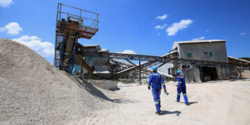 ‘Raw lithium export ban to boost beneficiation’