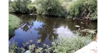 Heavy chemical pollution detected in Bulawayo rivers
