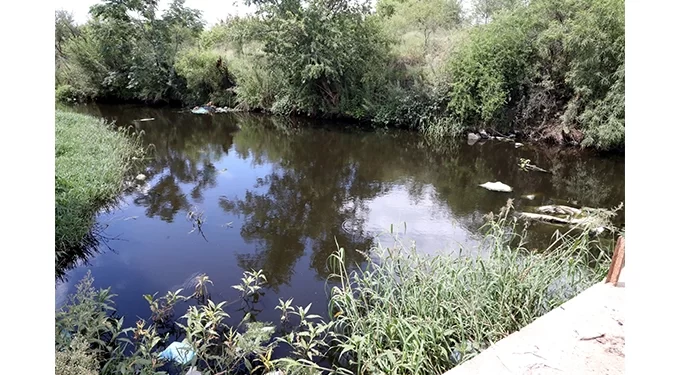 Heavy chemical pollution detected in Bulawayo rivers