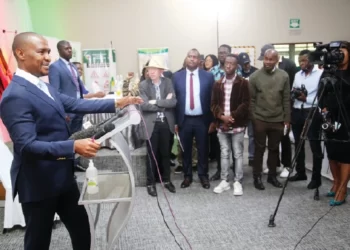 Govt engages stakeholders over fatal road accidents