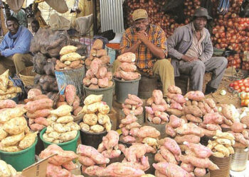 ‘Commercialise sweet potatoes, cassava production’