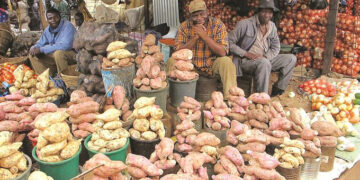 ‘Commercialise sweet potatoes, cassava production’