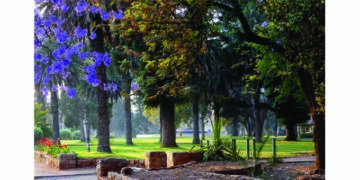 BCC passes begging bowl for Centenary Park