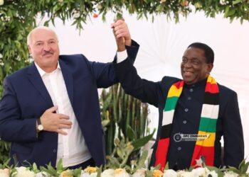 Sanctions on Zim are punishment for taking control of natural resources – Lukashenko