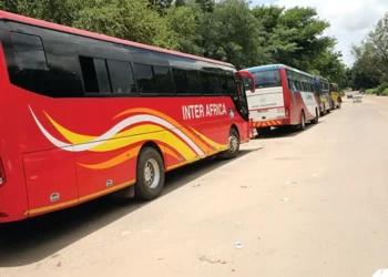 Bus operators challenge authorities