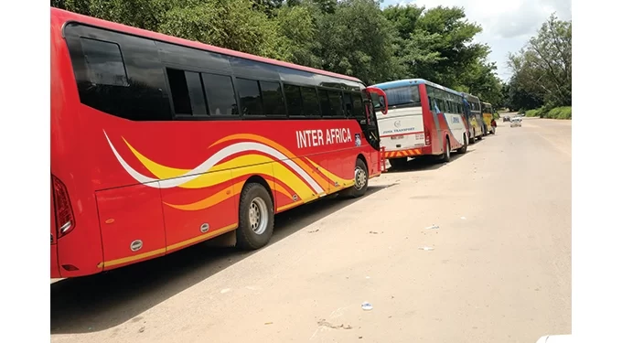 Bus operators challenge authorities