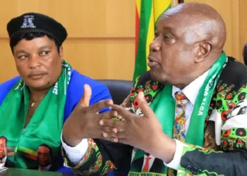 Developmental projects endearing Zanu PF