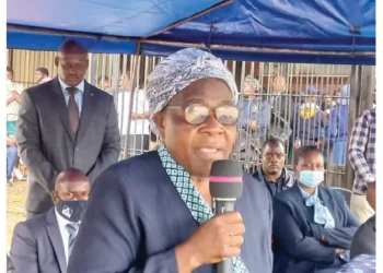 Drugs, gangsterism affect Bulawayo pass rate – Minister