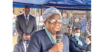 Drugs, gangsterism affect Bulawayo pass rate – Minister