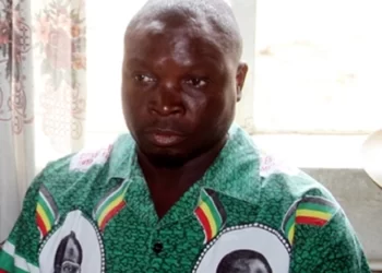 Huge turnout for Zanu-PF cell verification