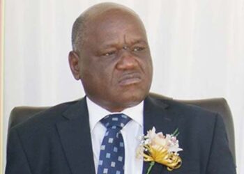 Council to improve criminal justice system: Malaba