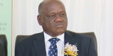 Council to improve criminal justice system: Malaba