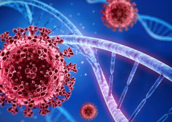 WHO Covid-19 decision cautious: Chinese experts