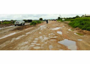 Shunned by Zupcos and kombis: Cowdray Park cries out for better roads