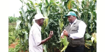 Crops, livestock in good condition