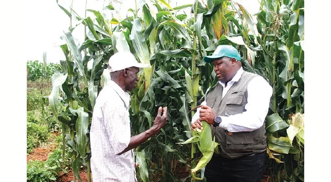 Crops, livestock in good condition