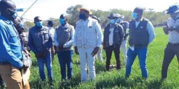 Water projects changing lives in Mash East