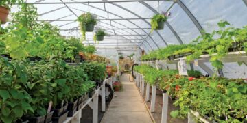 Horticultural exports bloom on Govt policies