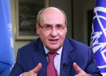 IOM to assist SA returnees