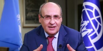 IOM to assist SA returnees