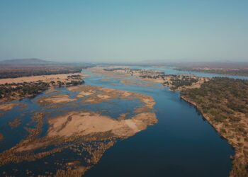 Kanyemba border post rehabilitation to accommodate wildlife and its habitat